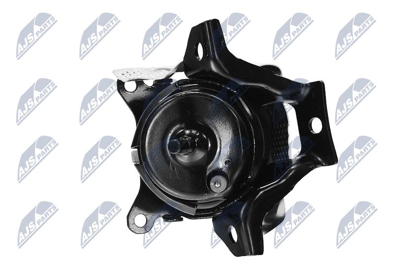 Paigutus, Mootor, NTY ZPS-CH-150