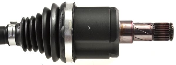 GKND12079C.JPG