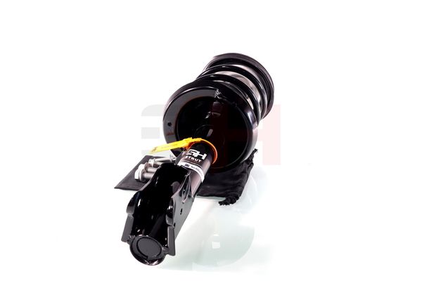 Vedruamort, GH GH-353364C01