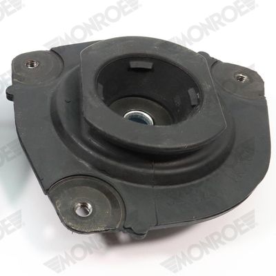 MK462R_5269612.JPG