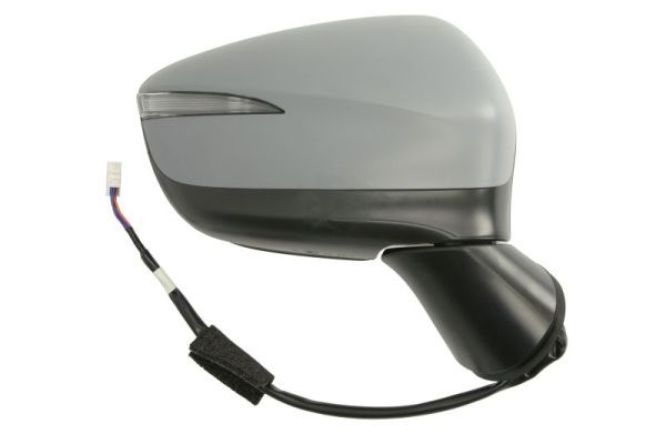 BLIC 5402-14-1905317P Exterior Mirror