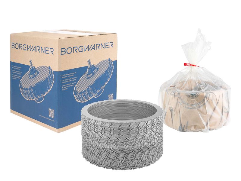 BorgWarner Plieninės kelių diskų sankabos komplektas, autom. transmis.