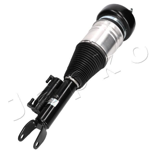 MJAS410_2.JPG