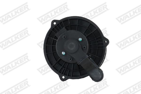 wbl01463_5352698.JPG