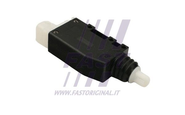 FT83601_2_1.JPG