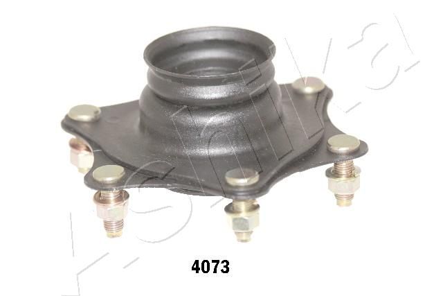 GOM-4073_1.JPG