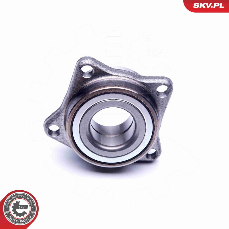 ESEN SKV 29SKV192 Wheel Bearing Kit