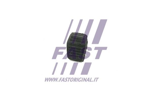 FT13081_1_1.JPG