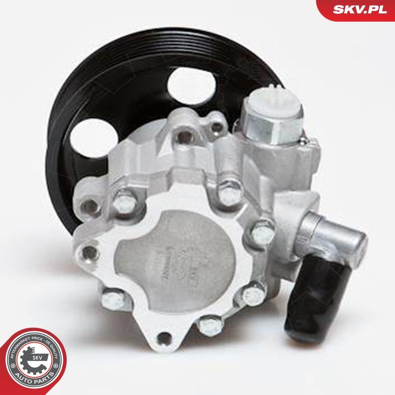 Hüdraulikapump, roolimine, ESEN SKV 10SKV024