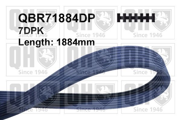 Поліклиновий ремінь, Quinton Hazell QBR71884DP