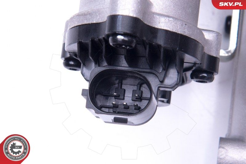 ESEN SKV 14SKV155 EGR Valve