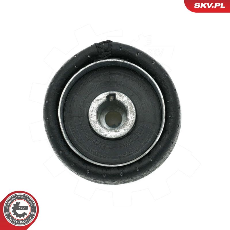 Käigukanginupp, ESEN SKV 63SKV004