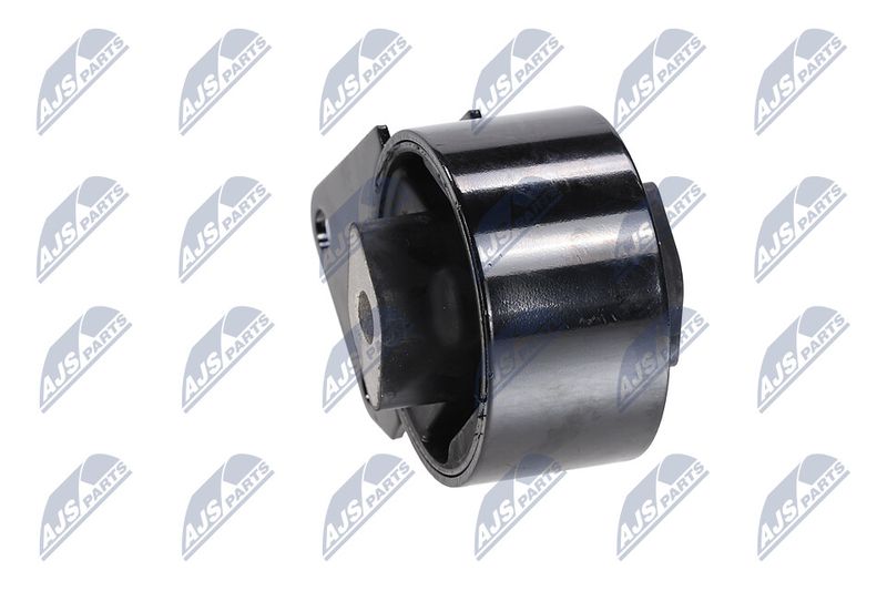 Paigutus, Mootor, NTY ZPS-CH-064