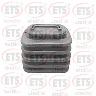 маншон, полуоска ETS