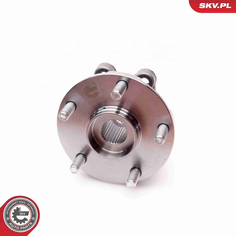 ESEN SKV 29SKV042 Wheel Bearing Kit