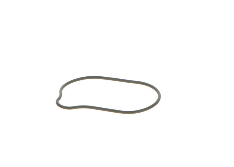 BOSCH 2440210028 Rubber Ring