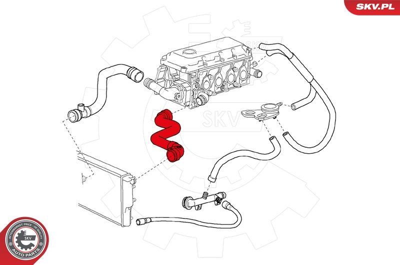 ESEN SKV 24SKV201 Radiator Hose