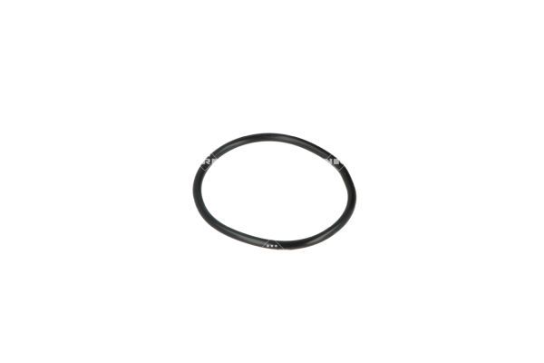 NRF 775029 Coolant Flange