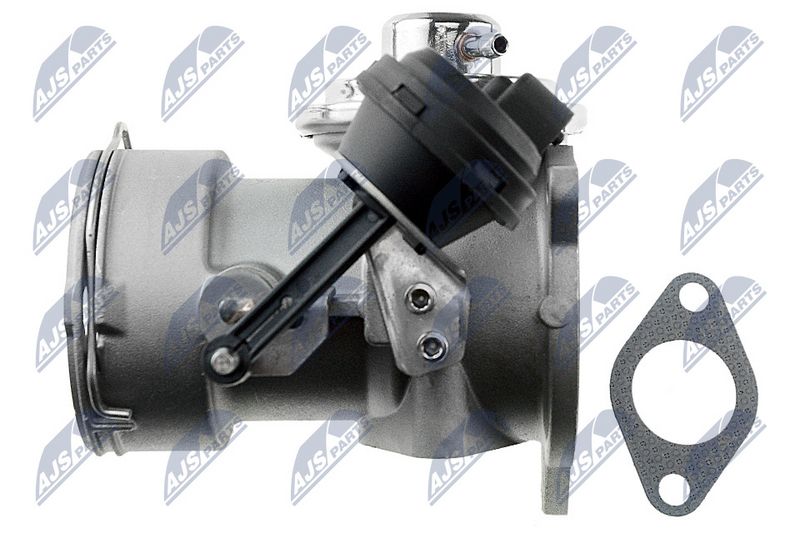 egr-vw-002_6-wm.JPG