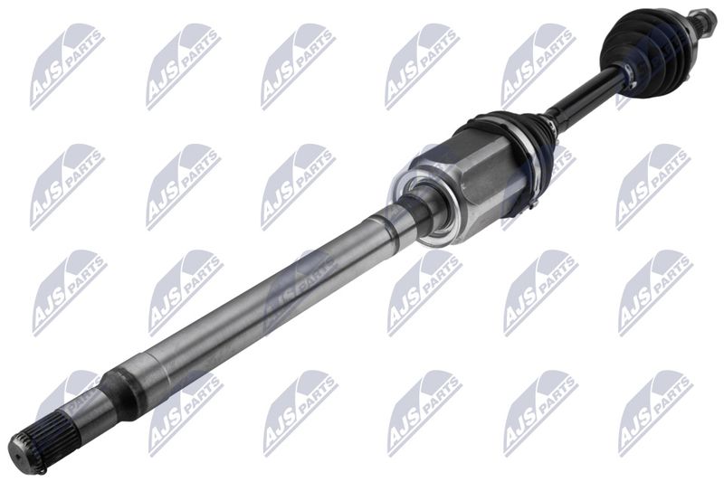 NPW-LR-049_1-WM.JPG
