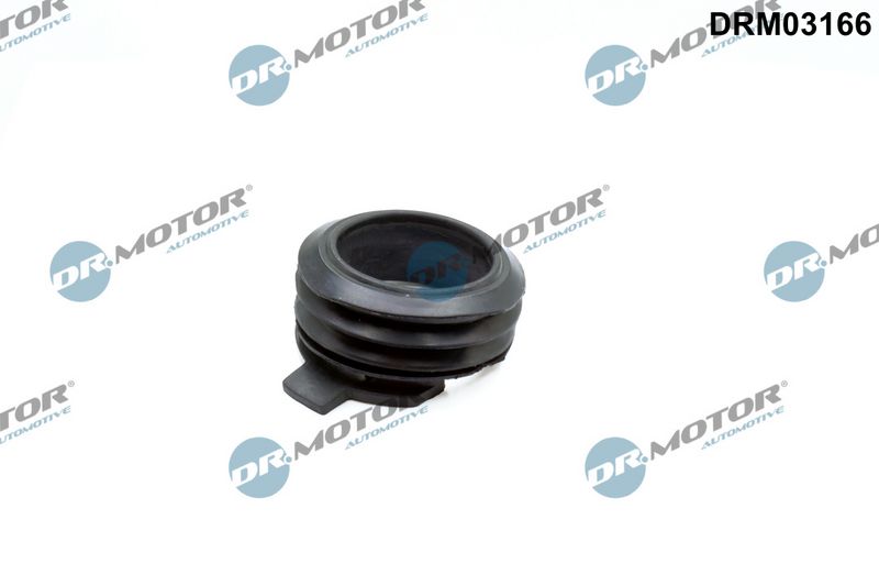 Dr.Motor Automotive DRM03166 - Seal, air filter housing