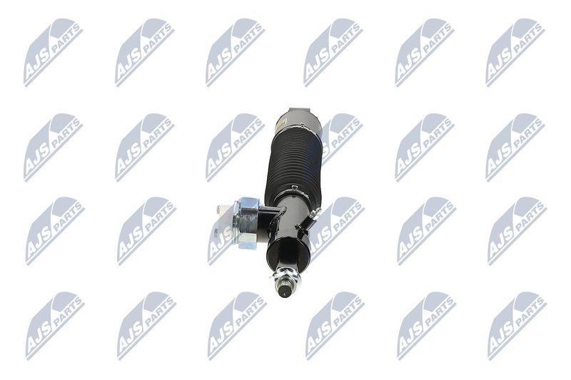 Amort, NTY A-NS-056