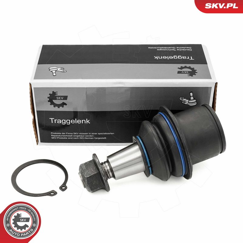 Kande-, juhtliigend, ESEN...