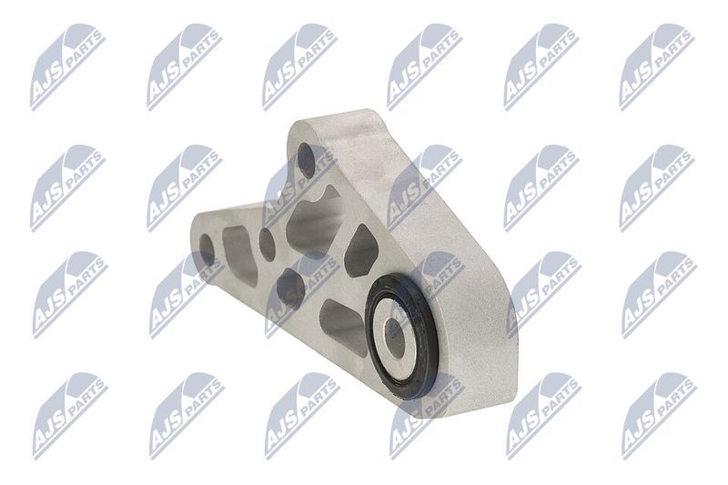 Paigutus, Mootor, NTY ZPS-CH-119