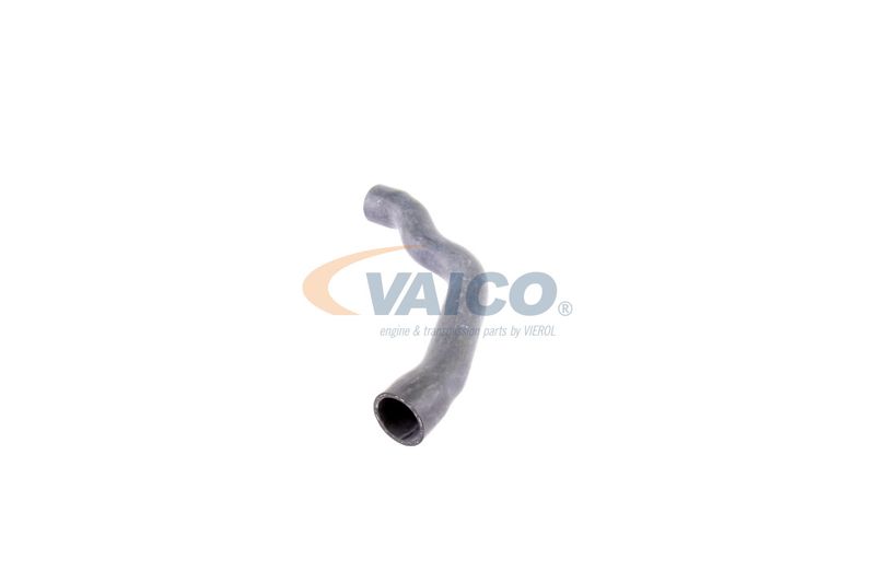 VAICO V30-2099 Radiator Hose