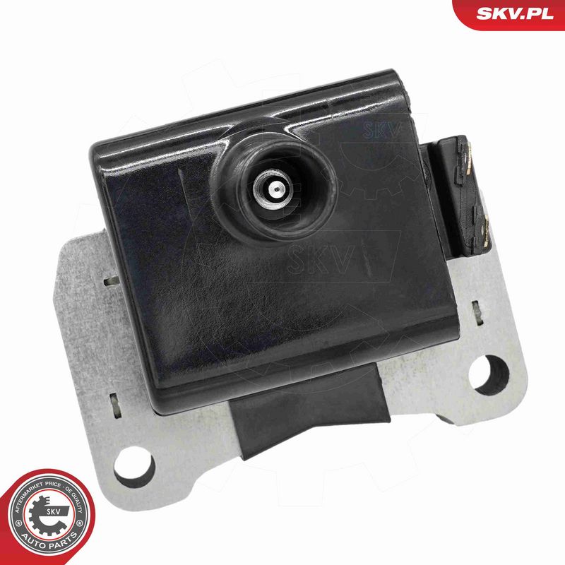 ESEN SKV 03SKV359 Ignition Coil