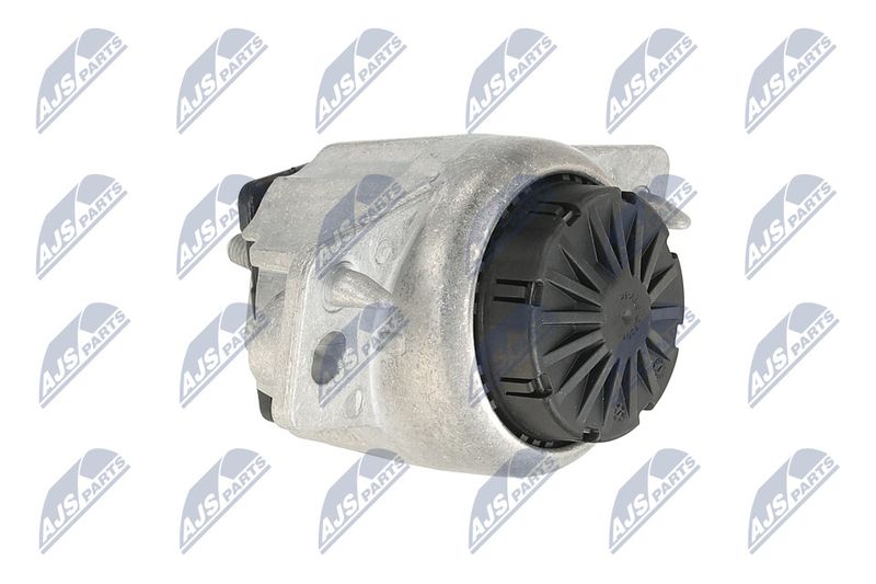 Paigutus, Mootor, NTY ZPS-LR-015