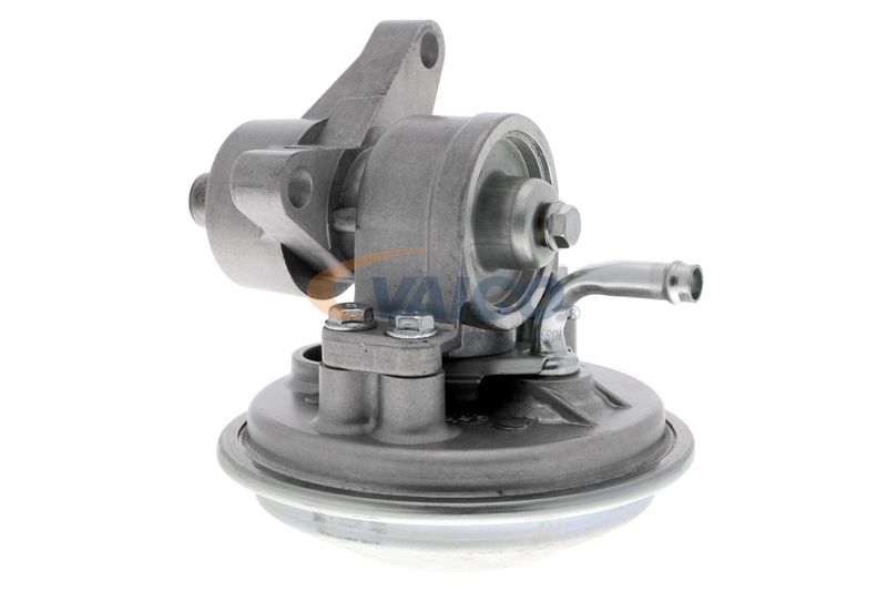 VAICO V25-1908 Mounting, engine