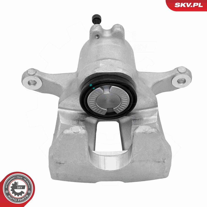 ESEN SKV 89SKV493 Brake Caliper