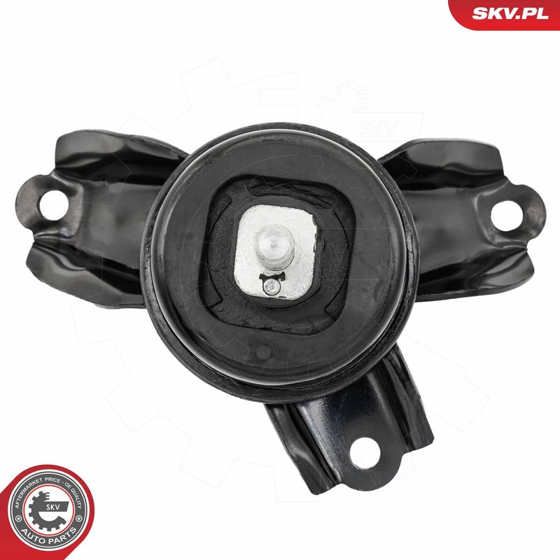 Paigutus, Mootor, ESEN SKV 75SKV281