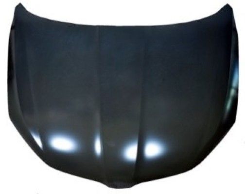 Capota motor MTR 12134093