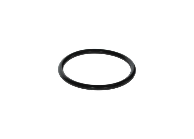 BOSCH F 00N 200 018 Rubber Ring