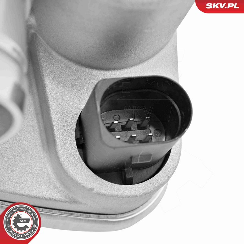 ESEN SKV 12SKV189 Throttle Body