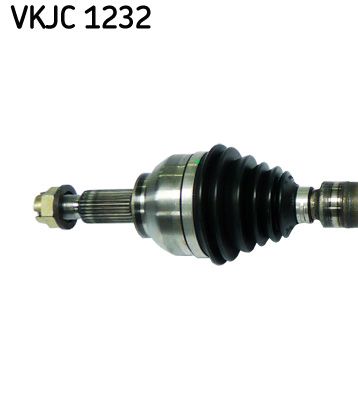 VKJC 1232_2.JPG
