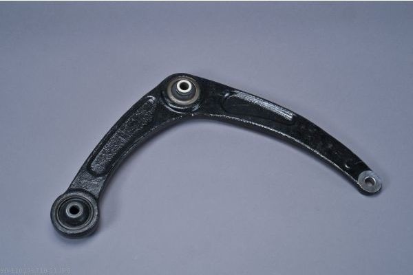 AUTOMEGA 110143710 Control/Trailing Arm, wheel suspension
