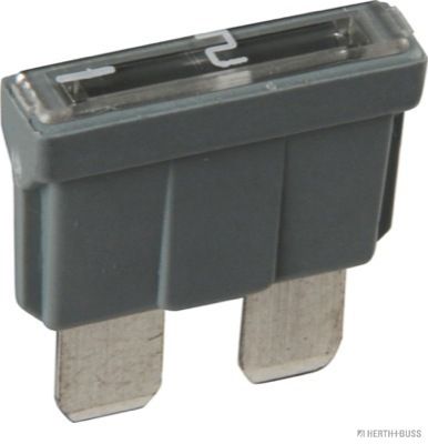 50295502.JPG