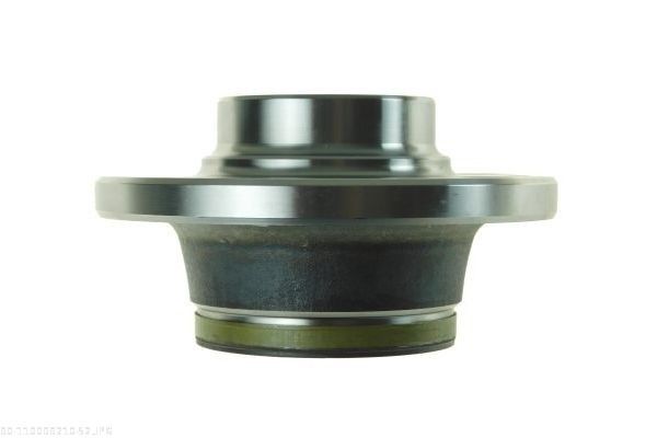 AUTOMEGA 110099210 Wheel Bearing Kit