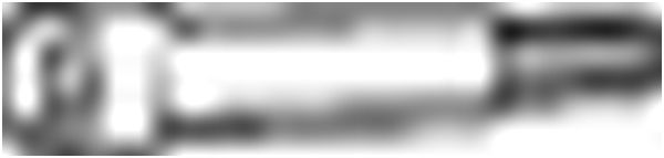 258771.JPG