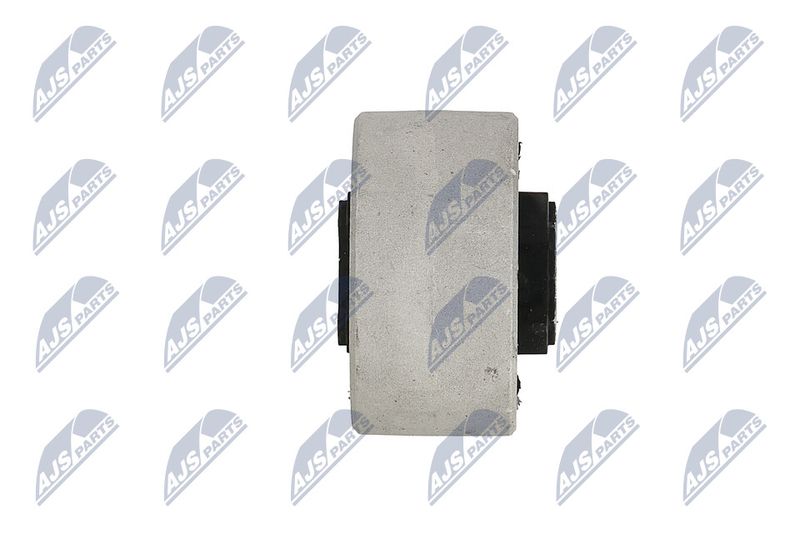 Paigutus, Mootor, NTY ZPS-NS-188