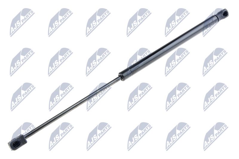 NTY AE-FR-041 Gas Spring, boot/cargo area