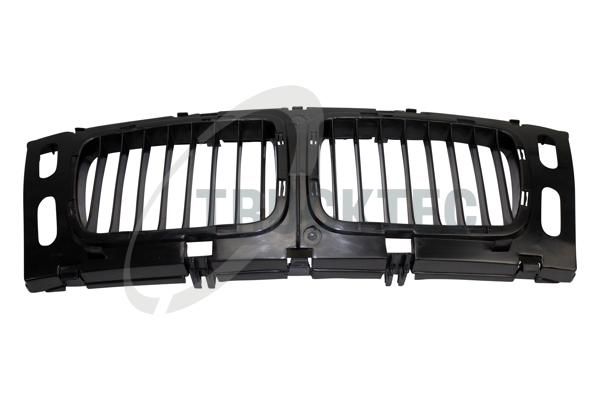 TRUCKTEC AUTOMOTIVE 08.62.234 - Radiatoriaus grotelės