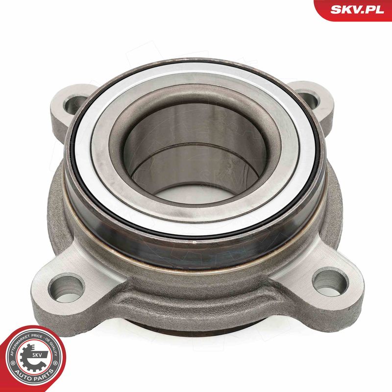 ESEN SKV 29SKV673 Wheel Bearing Kit