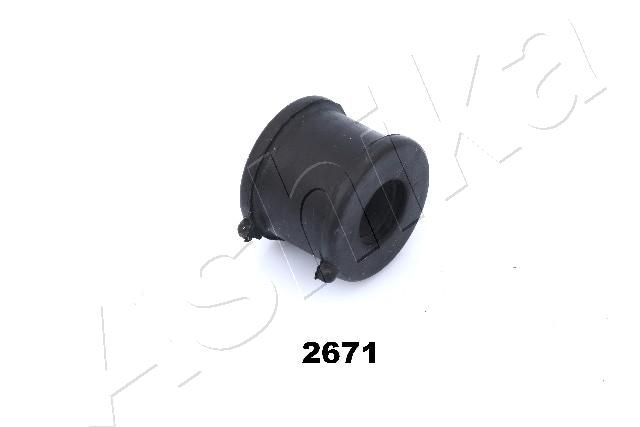 GOM-2671_1.JPG