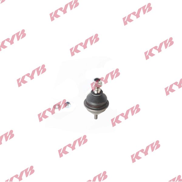 KYB-KBJ4036.JPG