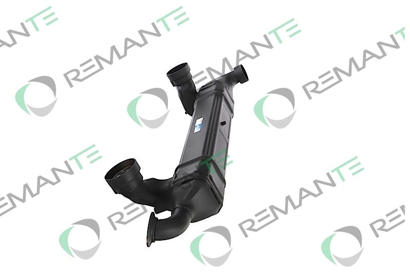 REMANTE 010-001-000039R EGR Module
