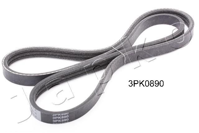 3PK890_1.JPG
